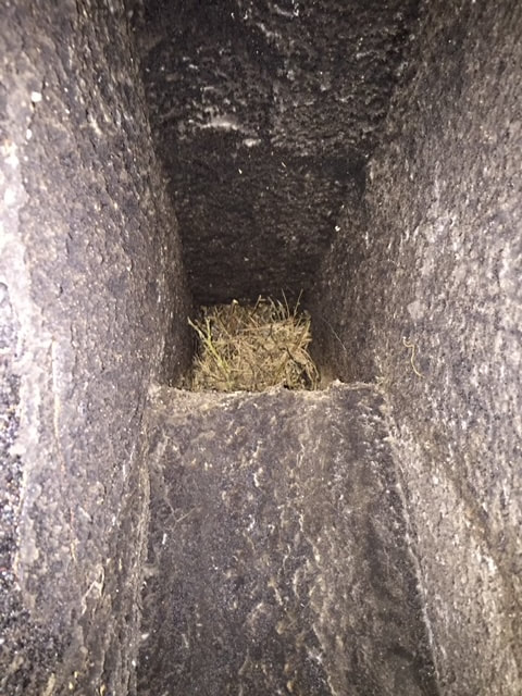 Animal nest in chimney flue; chimney sweeping with latest powertool technology
